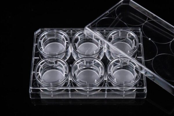 NEST Cell Culture Inserts, Non-treated, PET Memberane - Safe Leaf ...