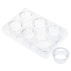 NEST Cell Culture Inserts, Tissue Culture Treated, PC Memberane