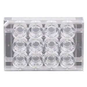 NEST Cell Culture Inserts, Non-treated, PC Memberane