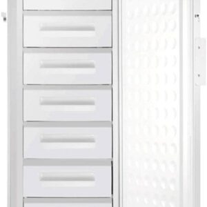 Ai EasyChill 9 Cu Ft -25°C Upright Freezer UL 115V